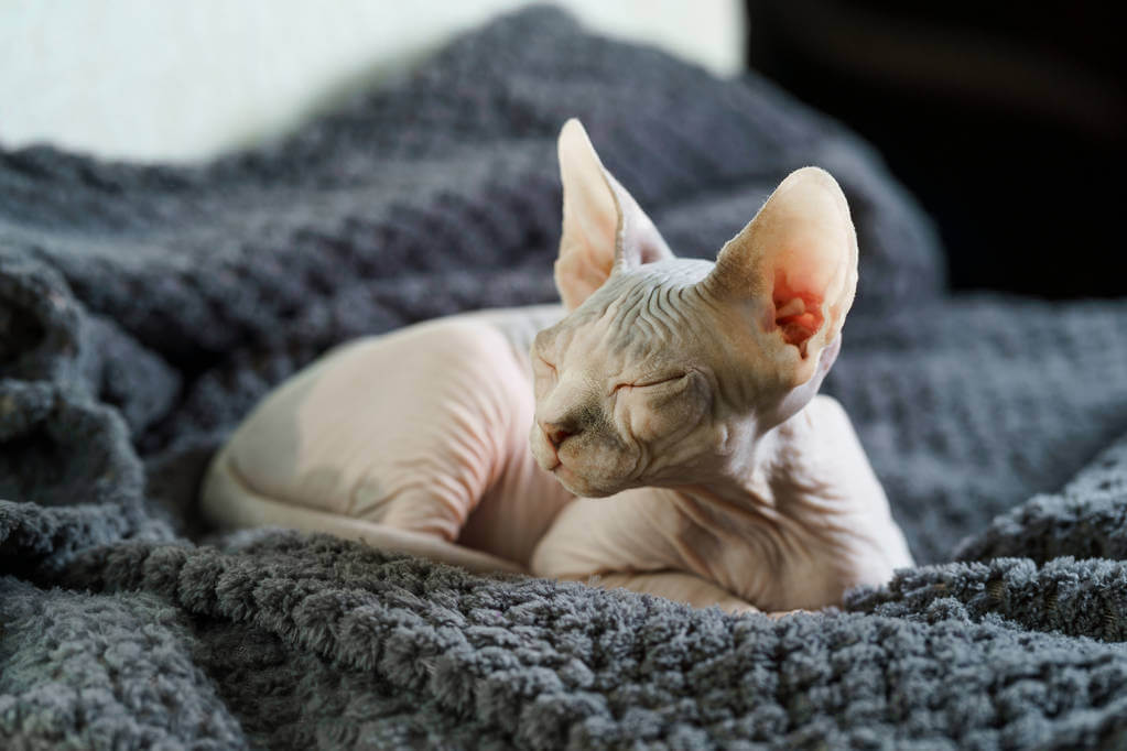 alvas-vilagnapja alvas-vilagnapja