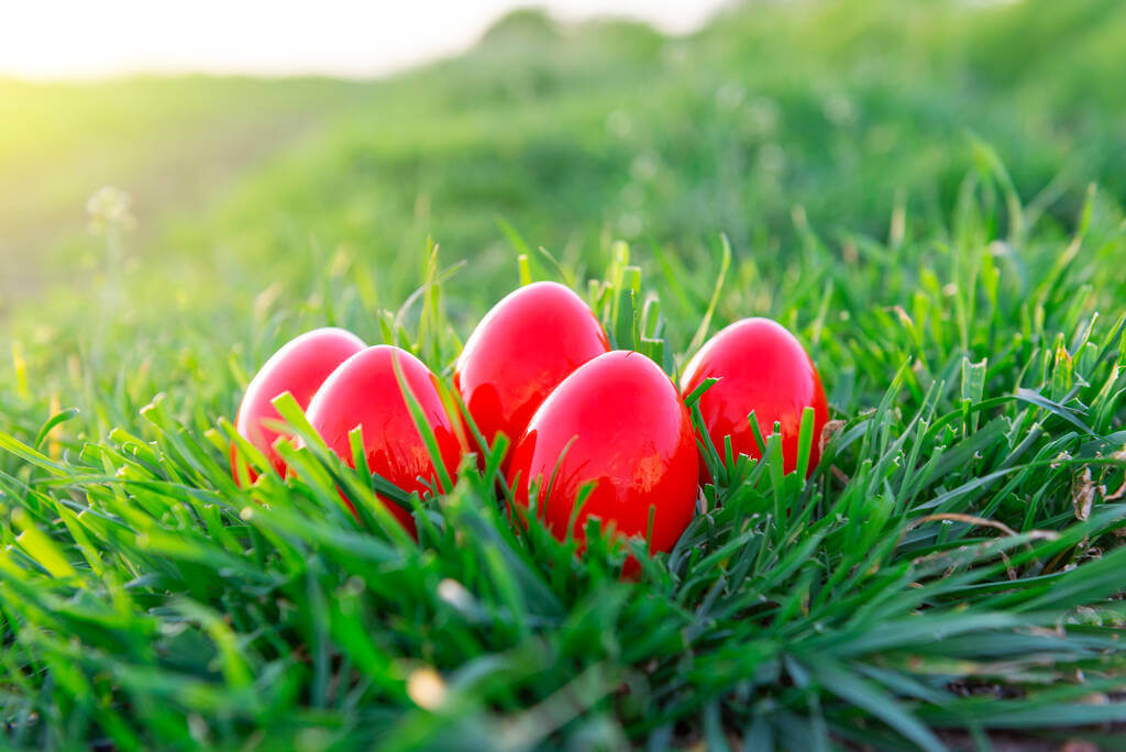 husveti-tojasdobalas husveti-tojasdobalas