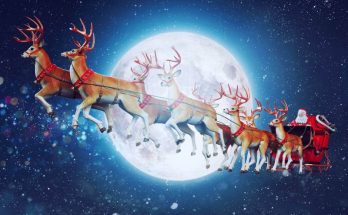 hany-renszarvasa-van-a-mikulasnak