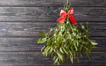 karacsonyi-fagyongy-jelentese-es-hagyomanyai