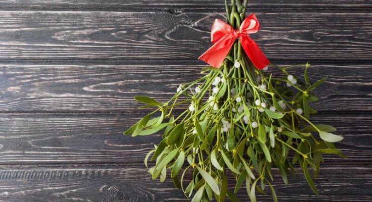 karacsonyi-fagyongy-jelentese-es-hagyomanyai