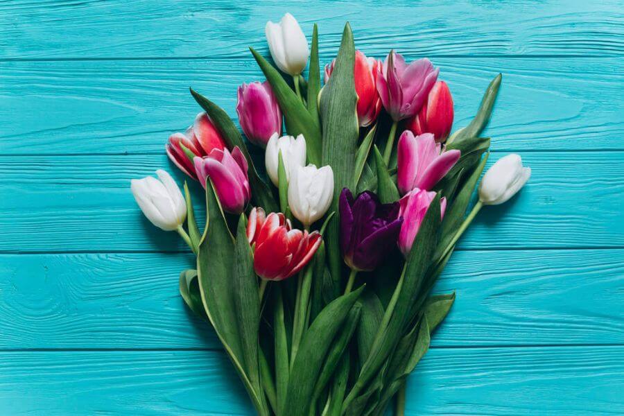 mikor-lesz-anyak-napja-2026-ban