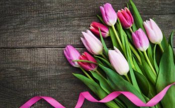 mikor-lesz-anyak-napja-2026-ban